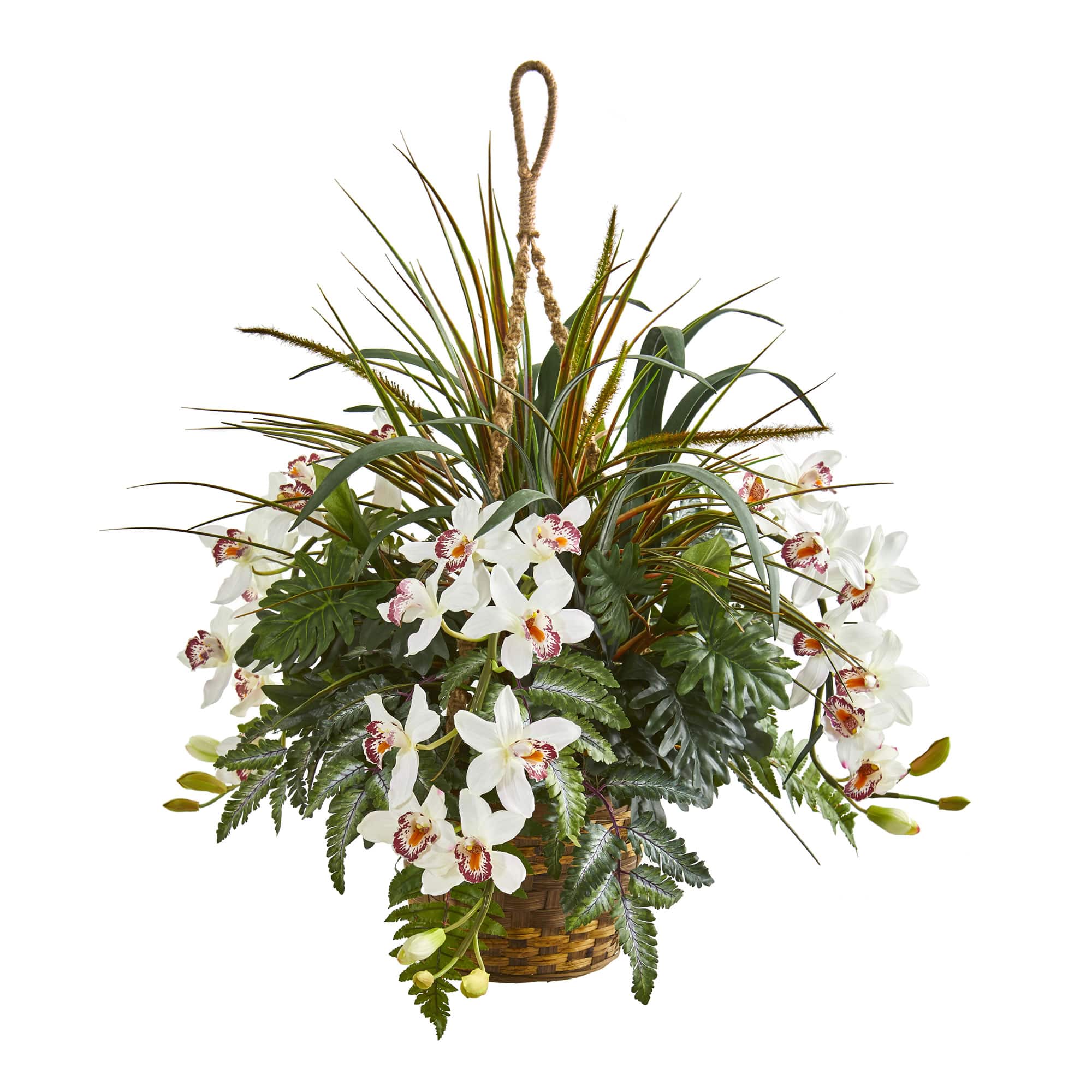 2.5ft. Orchid & Greens in Hanging Basket